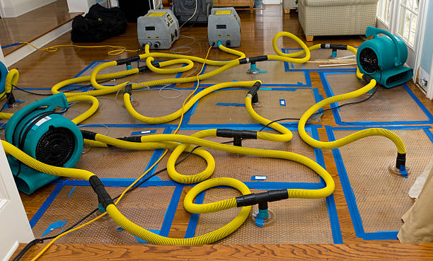 Professional Basement Flood Cleanup technician working in Glenshaw, PA